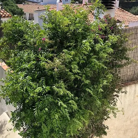 Apartamento Cozy Duplex Tranquilo Y Centrico Terraza Aire Acondicionado Vistas Preciosas